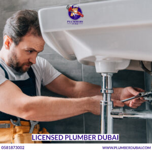Licensed Plumber Dubai