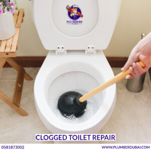 Clogged Toilet Repair