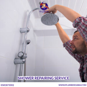Shower Repairing Service
