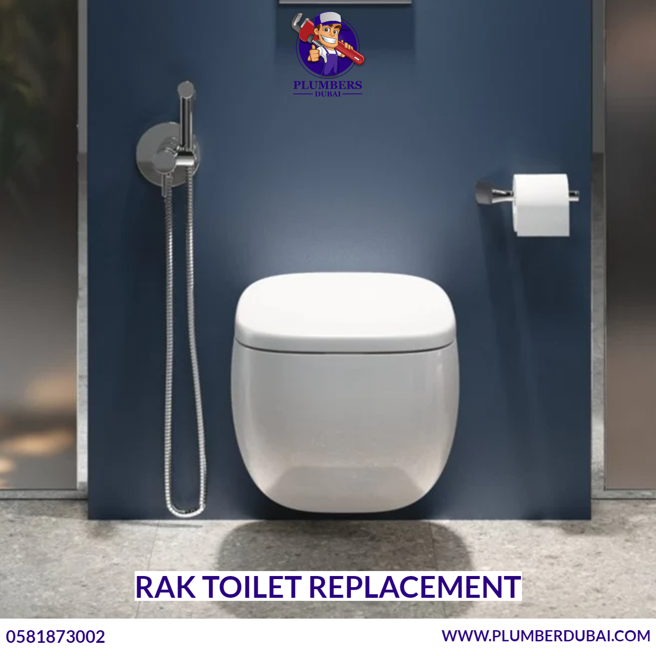 RAK toilet replacement
