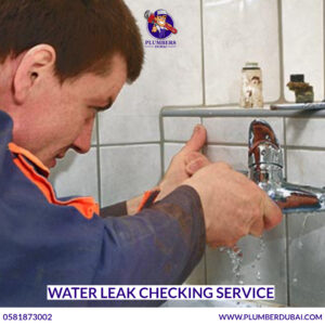 Water leak checking service