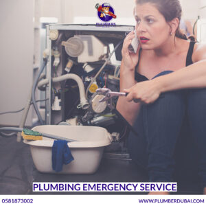 Plumbing emergency service