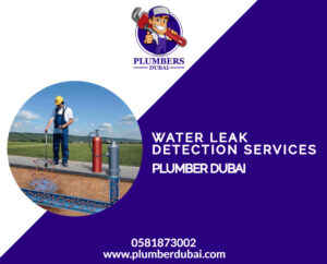 Water leak detection services near me 