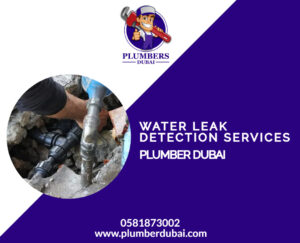 Water leak detection services near me 