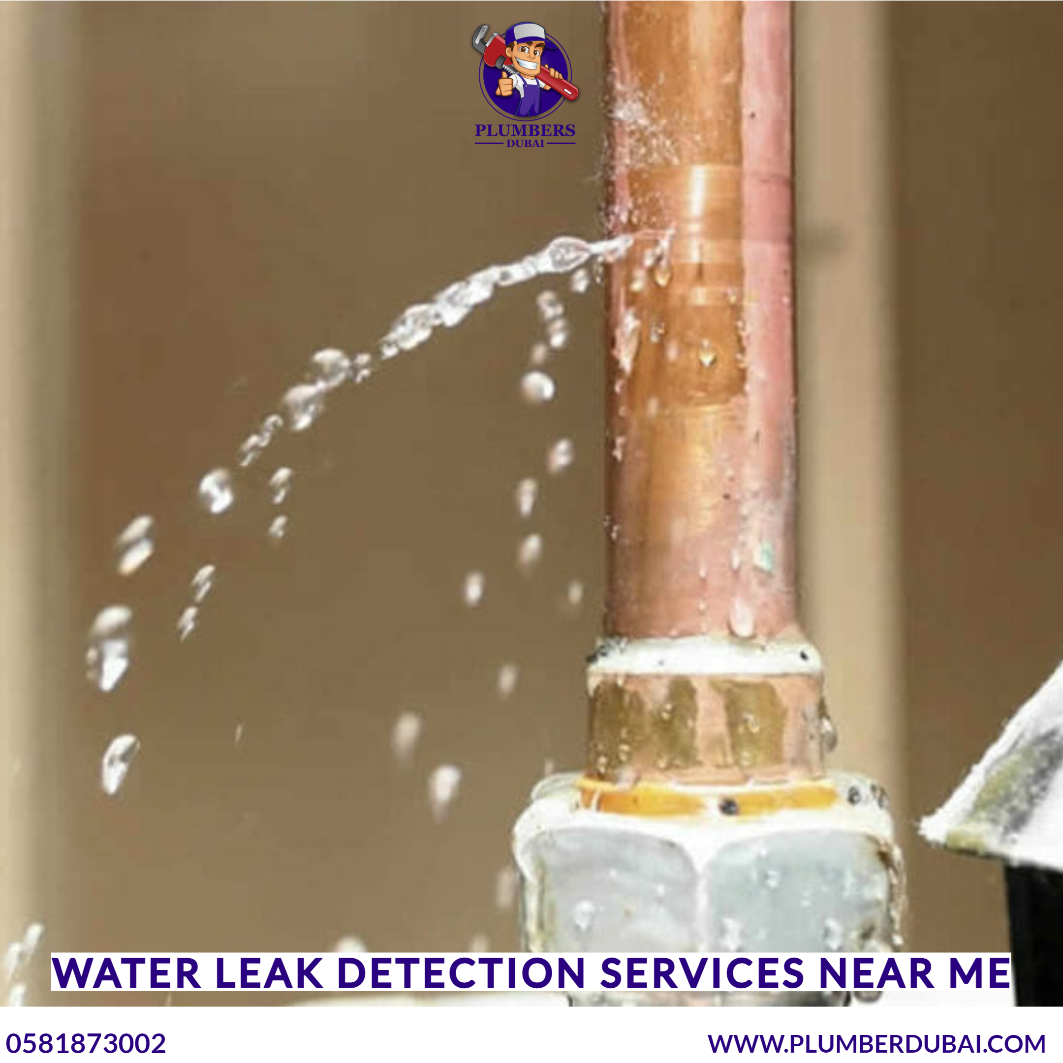Water leak detection services near me