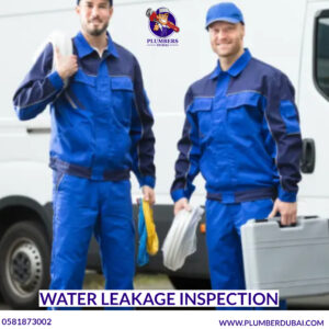 Water leakage inspection 