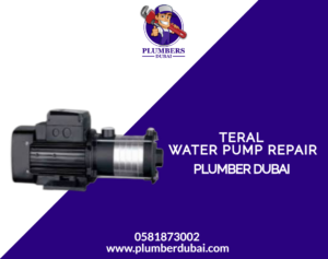 Teral water pump repair