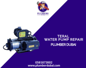 Teral water pump repair