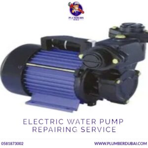 Electric Water Pump Repairing Service