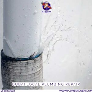 Dubai local plumbing repair