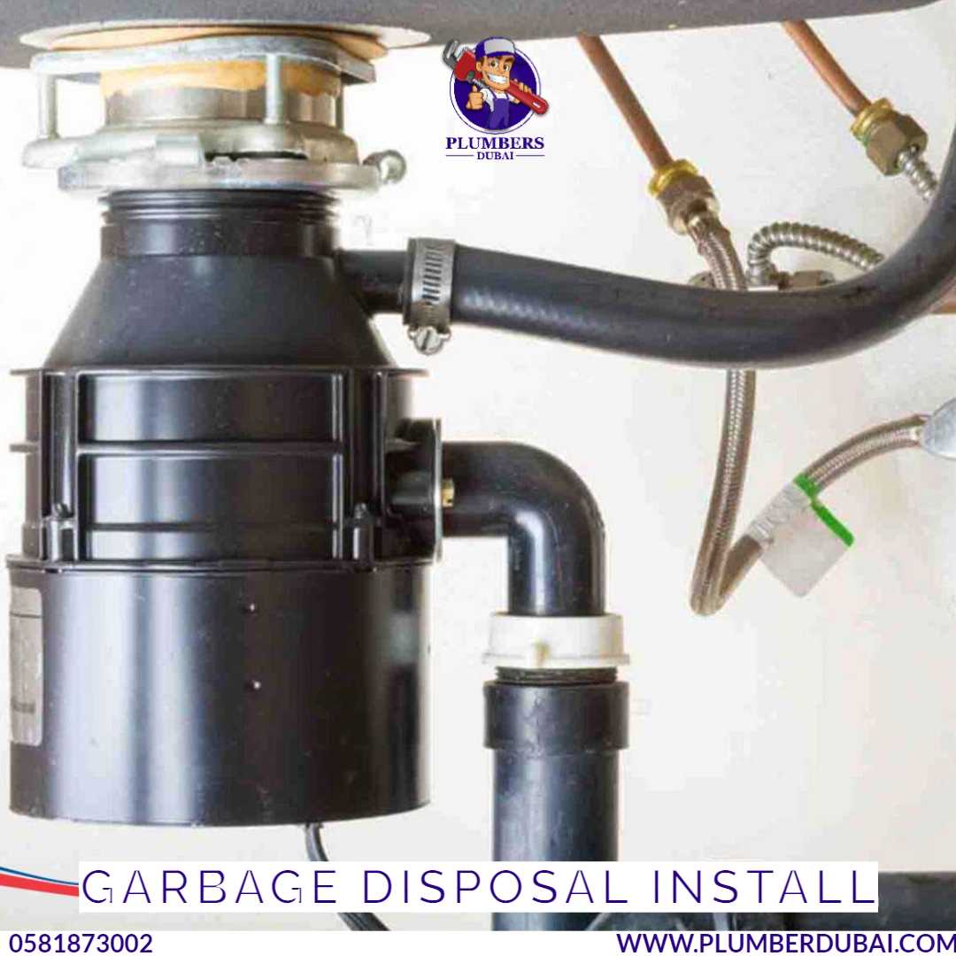 Garbage disposal Install
