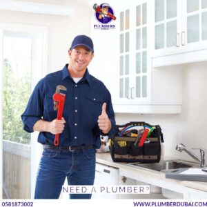 Need a plumber