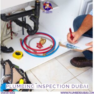 Plumbing Inspection Dubai