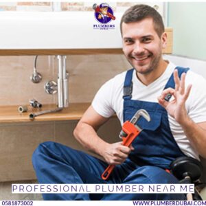 Professional plumber near me