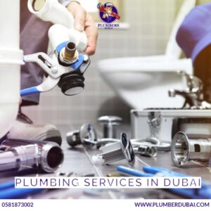 Plumbing Services In Dubai