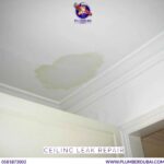 Ceiling leak repair