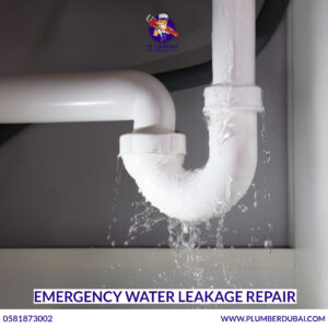 Emergency Water Leakage Repair