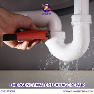 Emergency Water Leakage Repair 