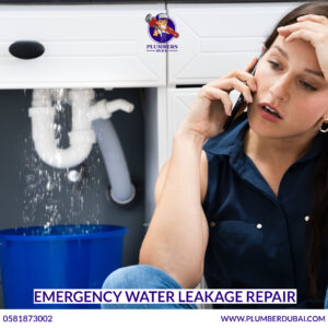 Emergency Water Leakage Repair
