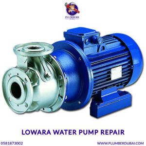 Lowara water pump repair
