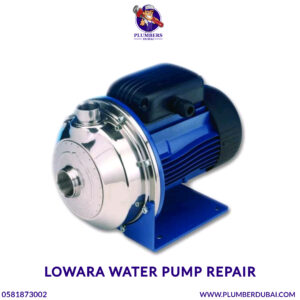 Lowara water pump repair