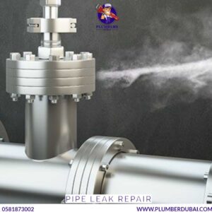 Pipe leak repair