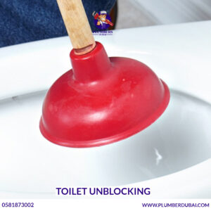 Toilet unblocking