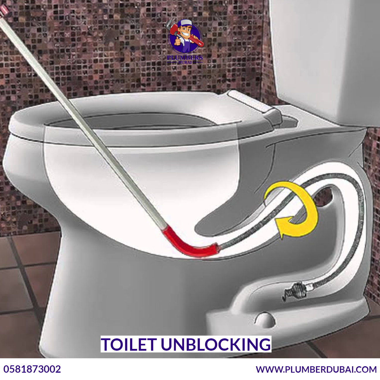 Toilet unblocking