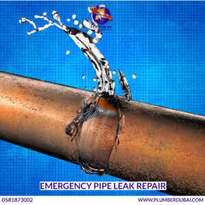 Emergency Pipe Leak Repair