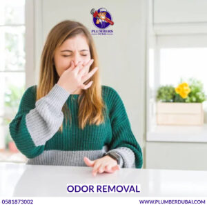 Odor removal 