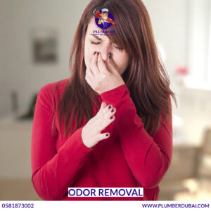 Odor removal 
