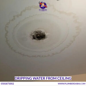 Dripping Water From Ceiling