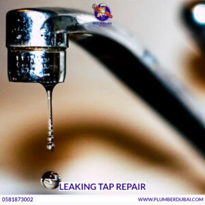 Leaking Tap Repair