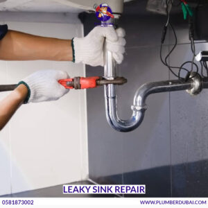 Leaky Sink Repair