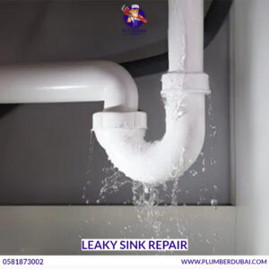 Leaky Sink Repair