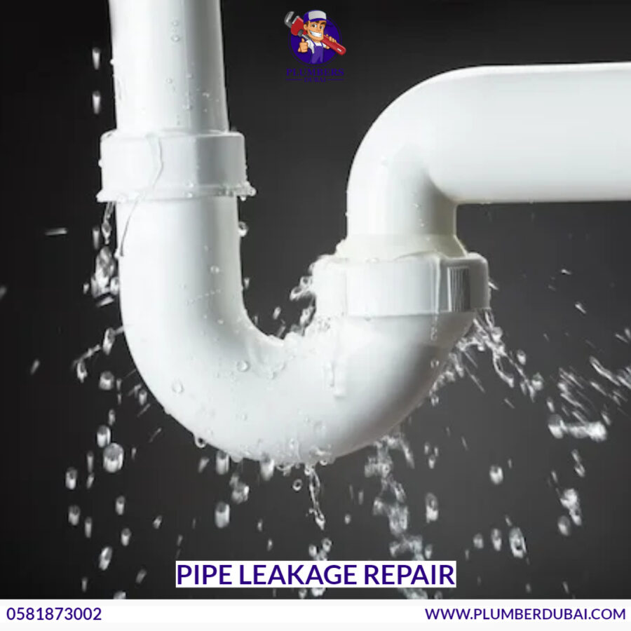 Pipe Leakage Repair