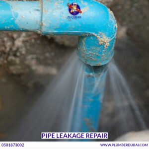 Pipe Leakage Repair
