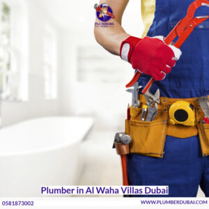 Plumber in Al Waha Villas Dubai