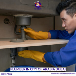 Plumber in Business Bay Dubai