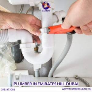 Plumber in Emirates Hill Dubai 