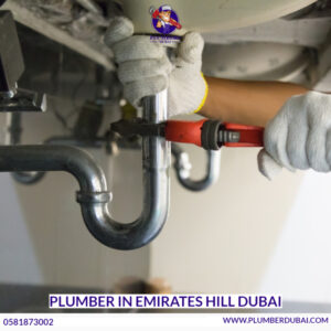 Plumber in Emirates Hill Dubai