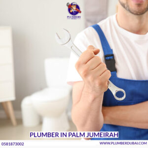 Plumber in Palm Jumeirah