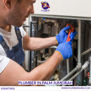 Plumber in Palm Jumeirah