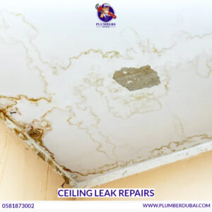 Ceiling Leak Repairs