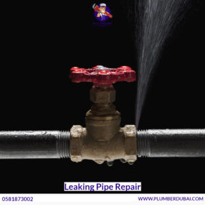 Leaking Pipe Repair