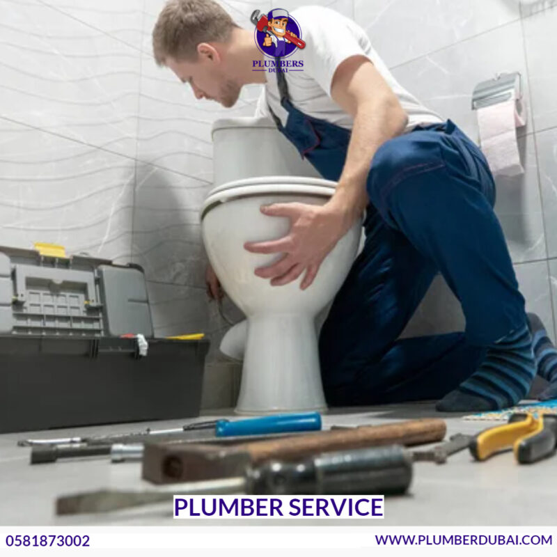 Plumber Service