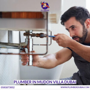 Plumber in Mudon Villa Dubai
