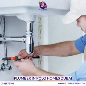 Plumber in Polo Homes Dubai