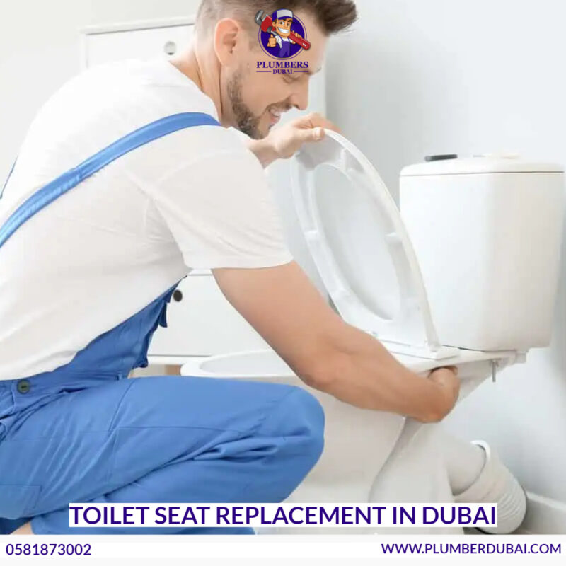 Toilet Seat Replacement Dubai