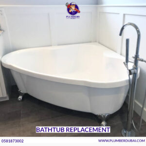 Bathtub Replacement